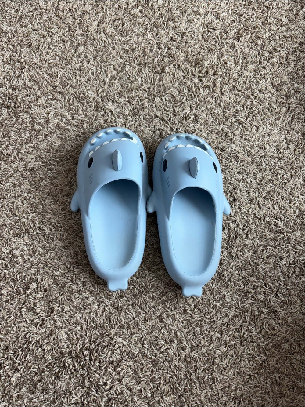 shark slides
